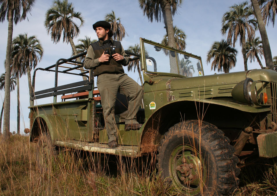 Safari en vehículo por Aurora del Palmar